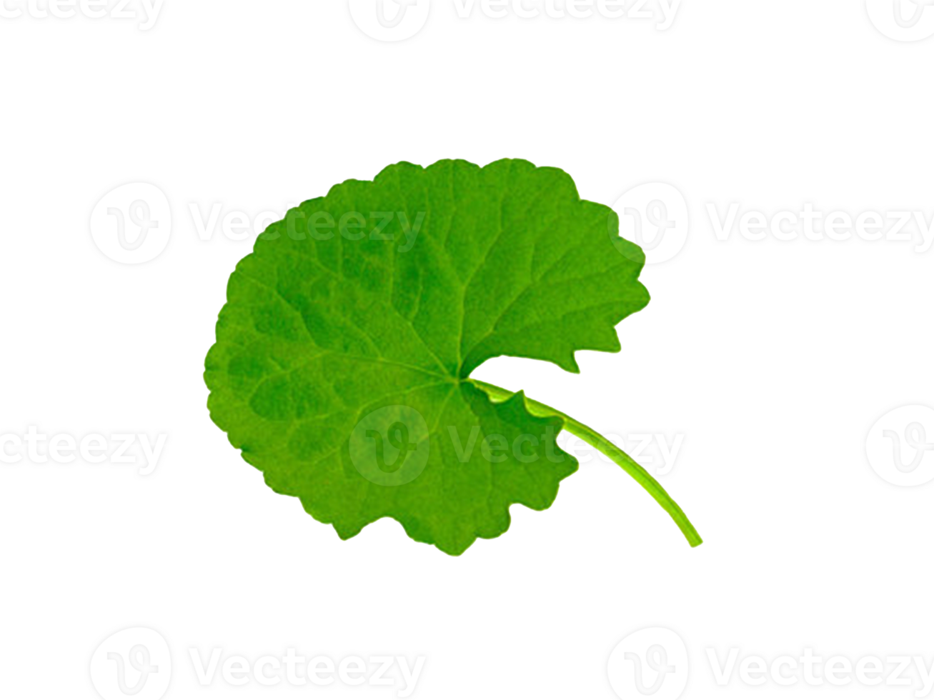 centeella smoothie juice png