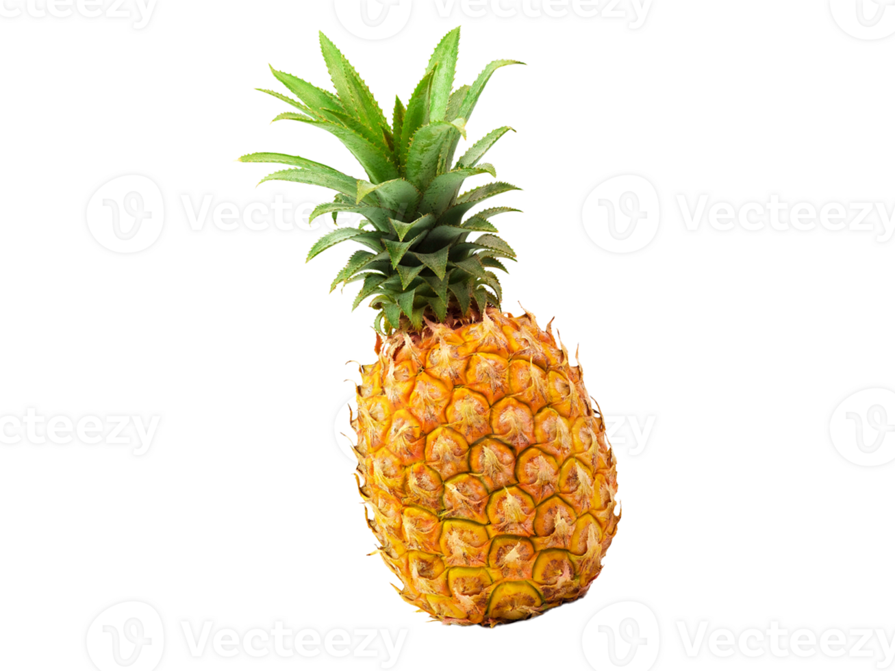 colorful pineapple art png