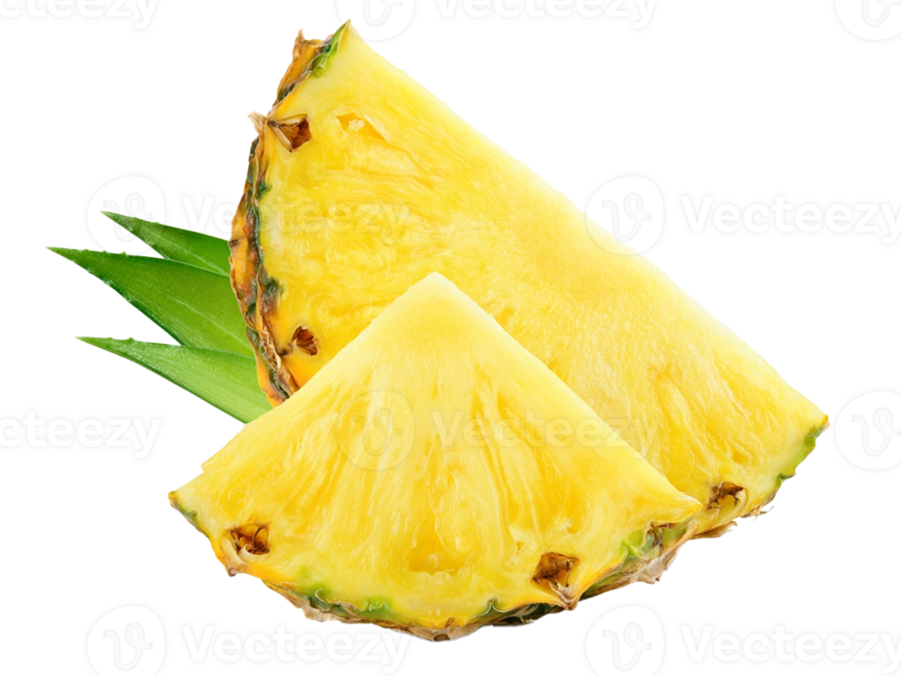 pineapple farm photography png