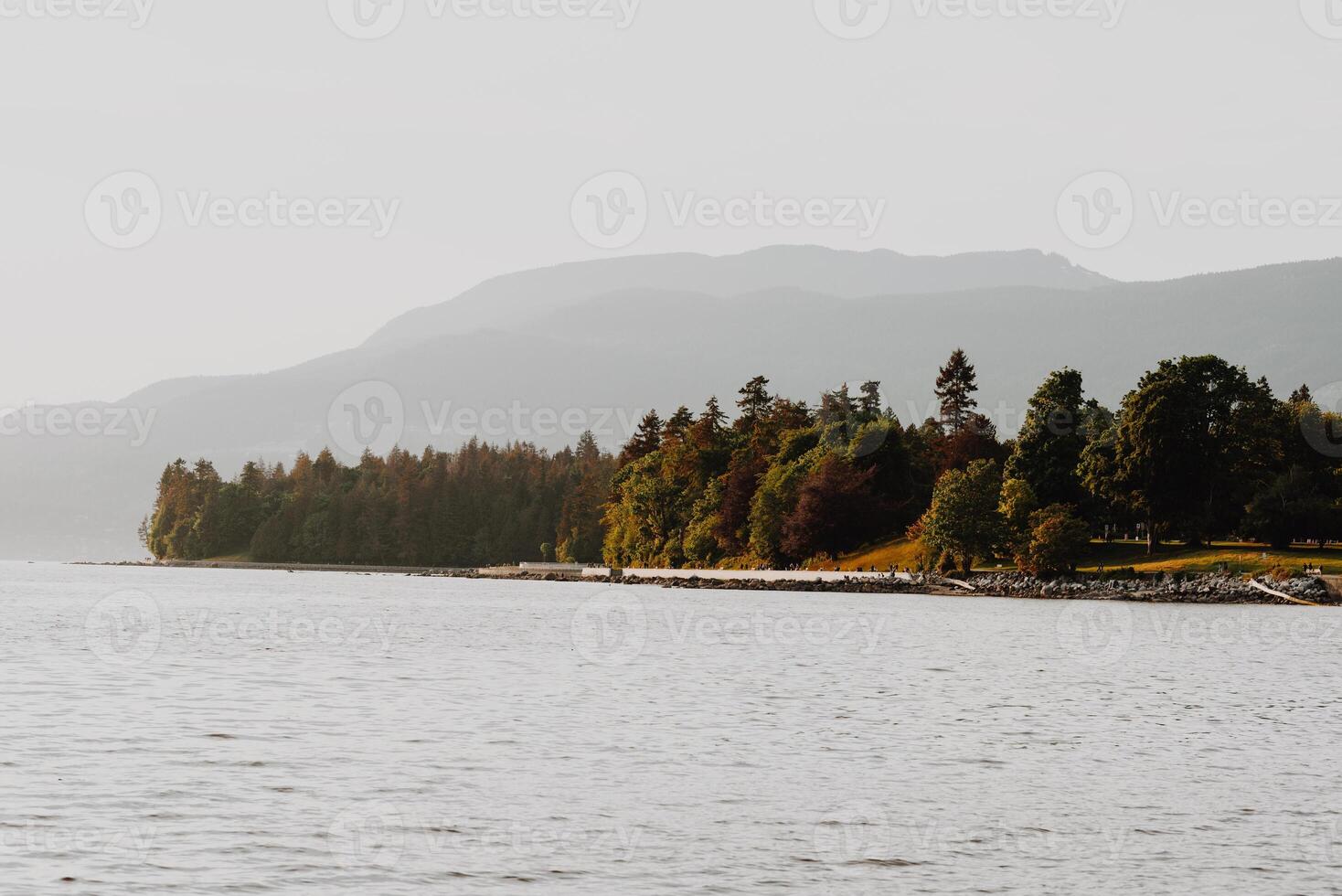 Autumn park in the ocean bay photo