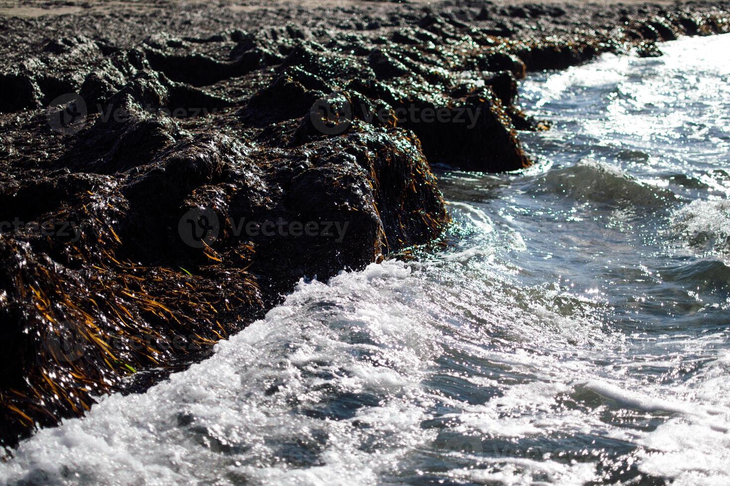 the coast of the sea near Paphos, Cyprus photo