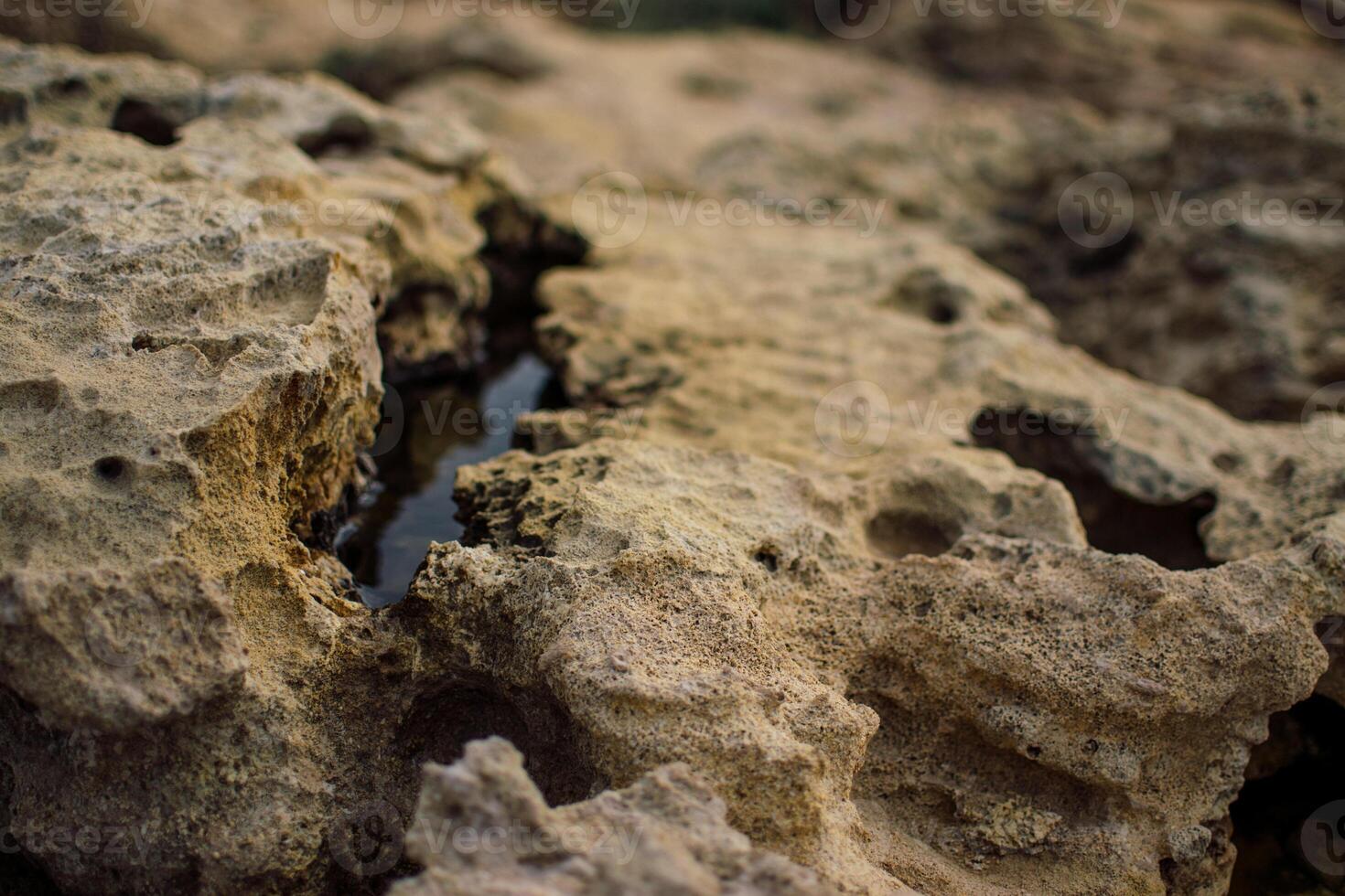 a textured landscape of wet, rocky terrain with shallow pools of water, surface appears rugged and uneven, showcasing natural erosion patterns photo