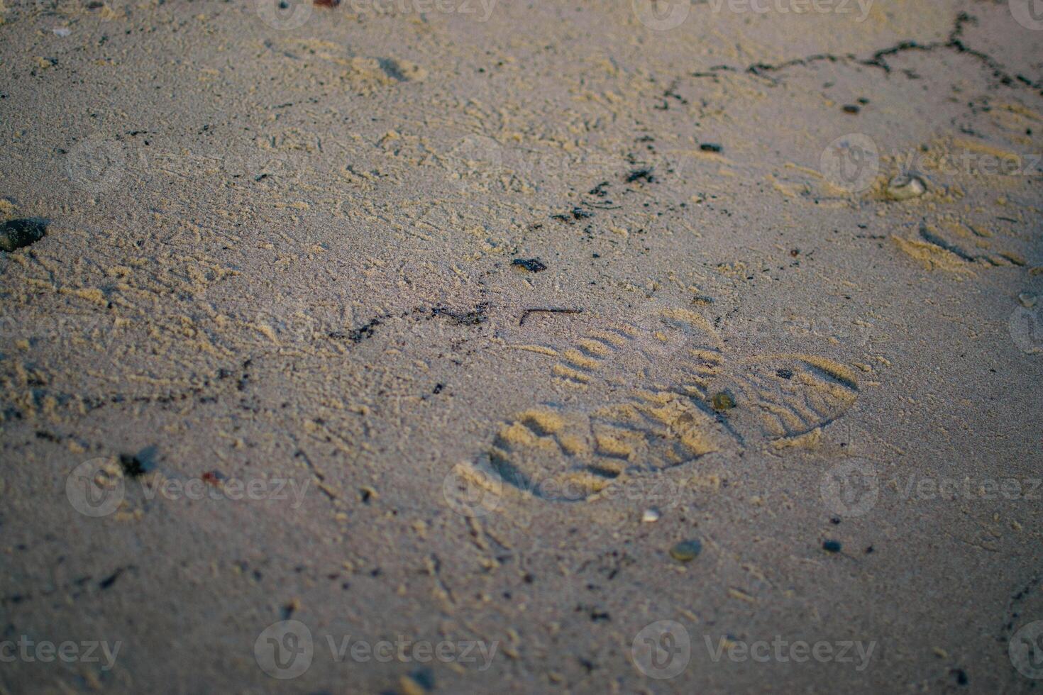 the footprints on the sand near the winter sea photo