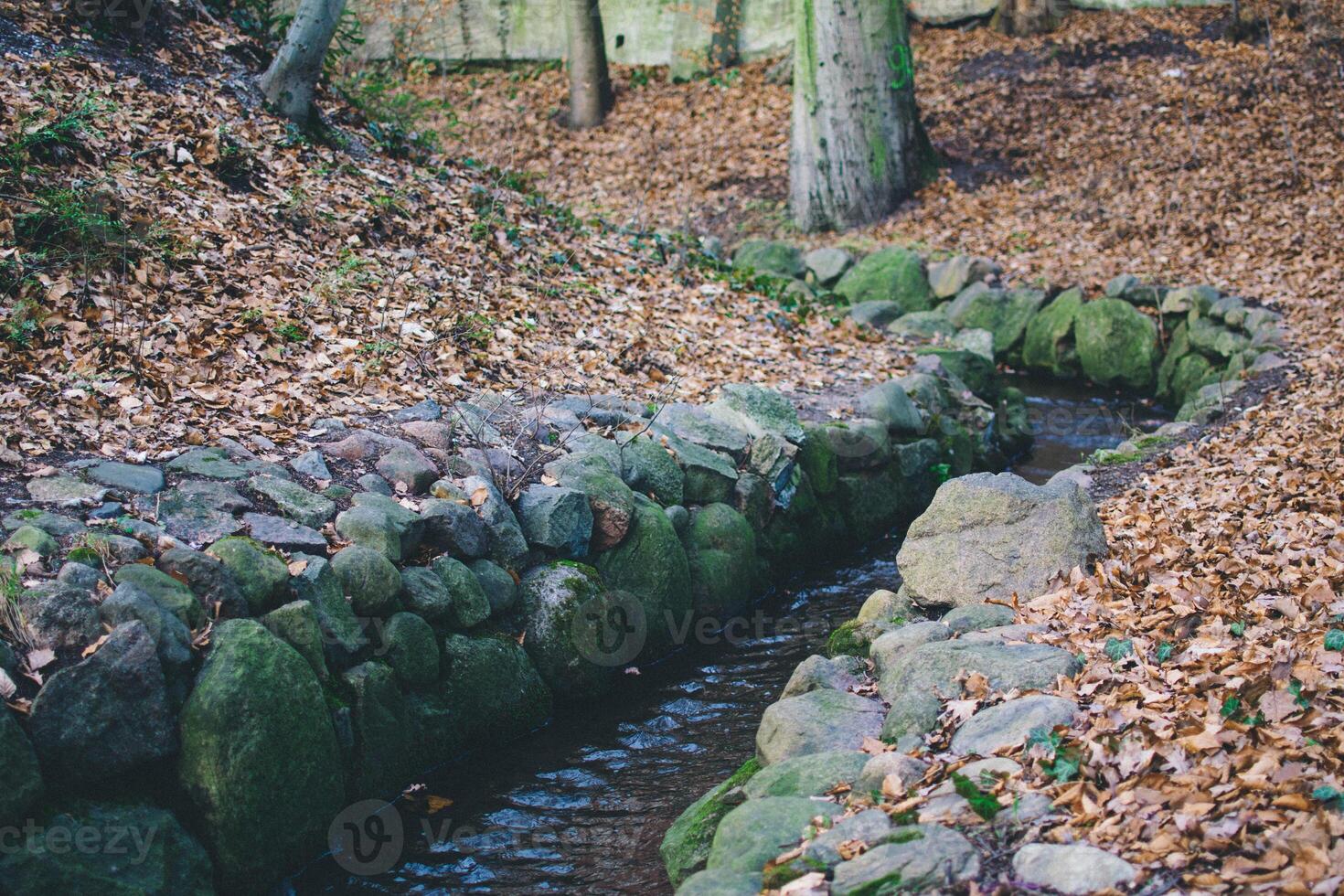 a stream lined with stones autumn photo