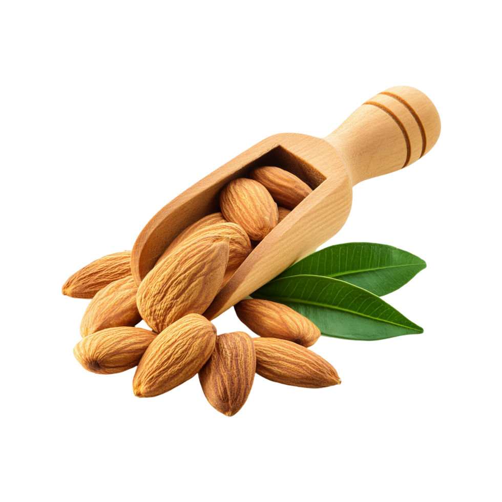 Wooden scoop of Almond nut with leaf on transparent background png