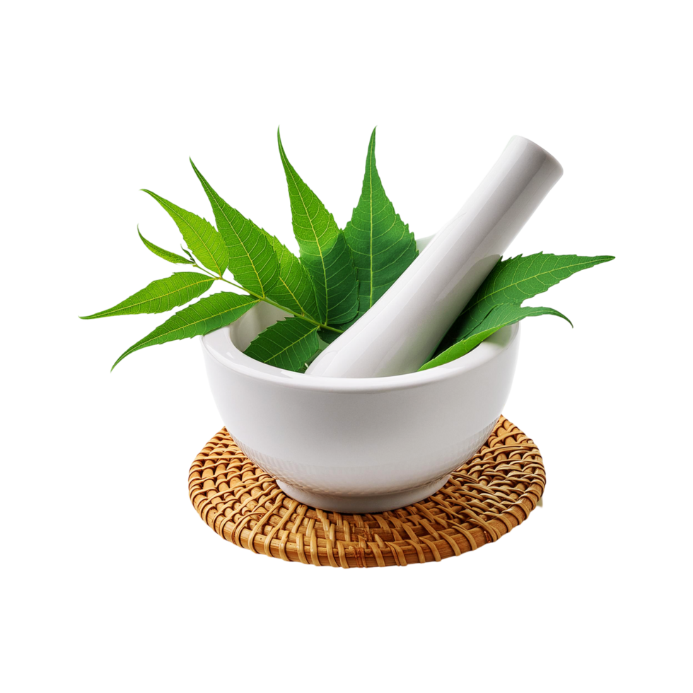 Fresh Neem leaf in mortar and pestle on transparent background png