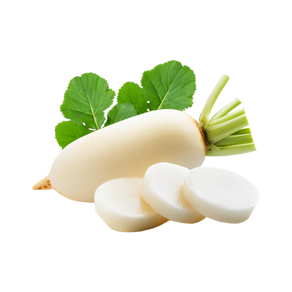 Fresh White radish with slice and leaf on transparent background png