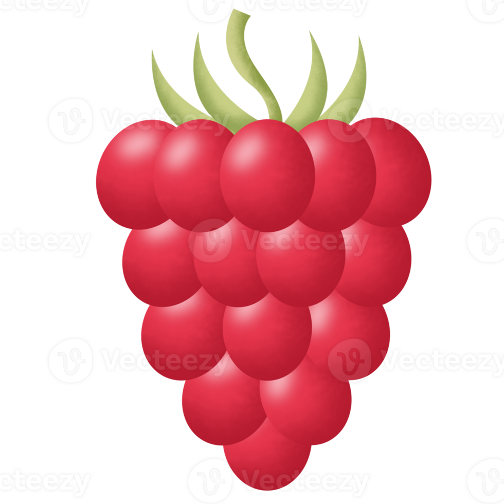 Watercolor fresh raspberry cartoon illustration png