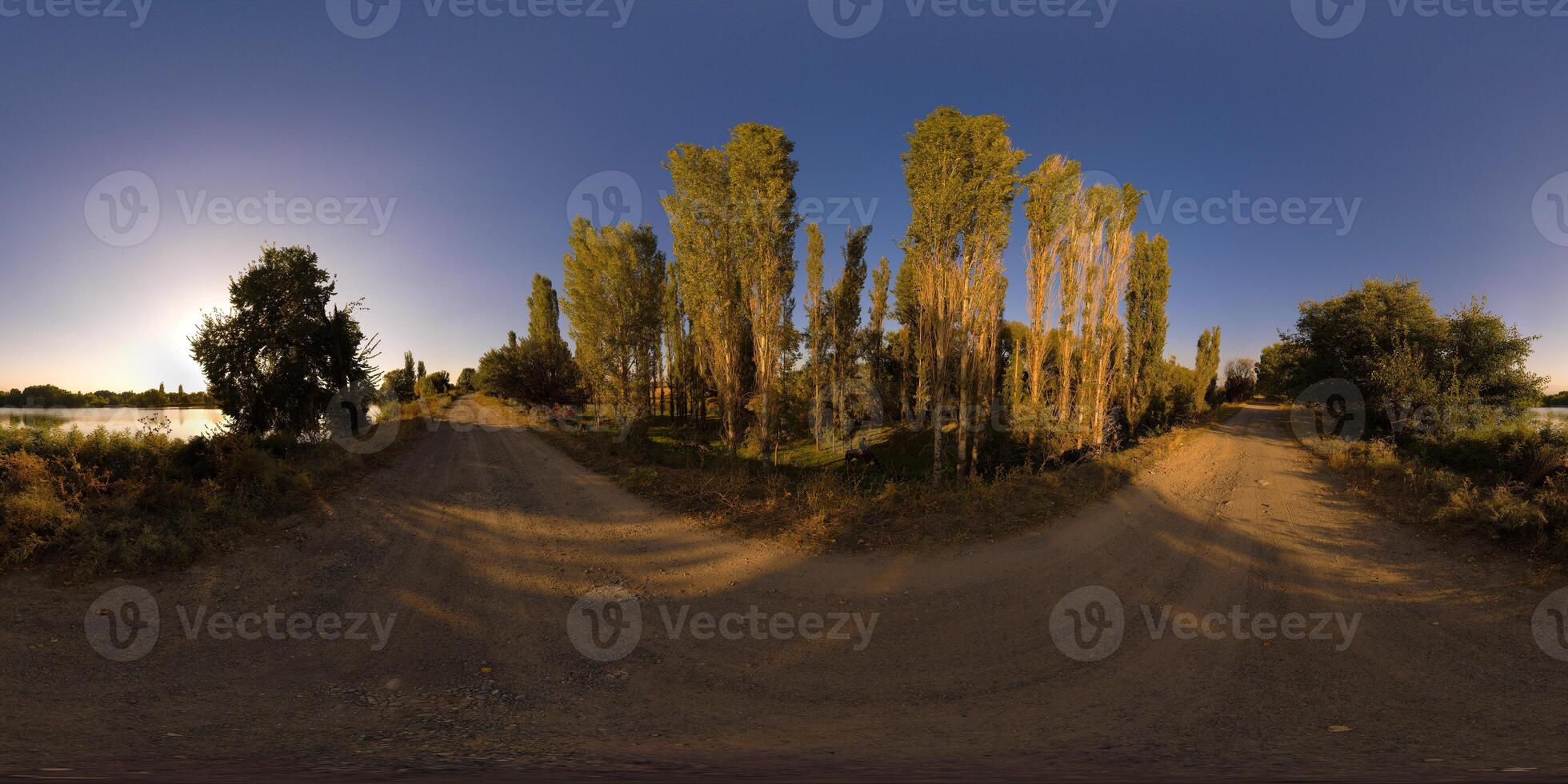 Spherical panorama of late summer evening on dirt road near pond surrounded with green bushes and trees photo