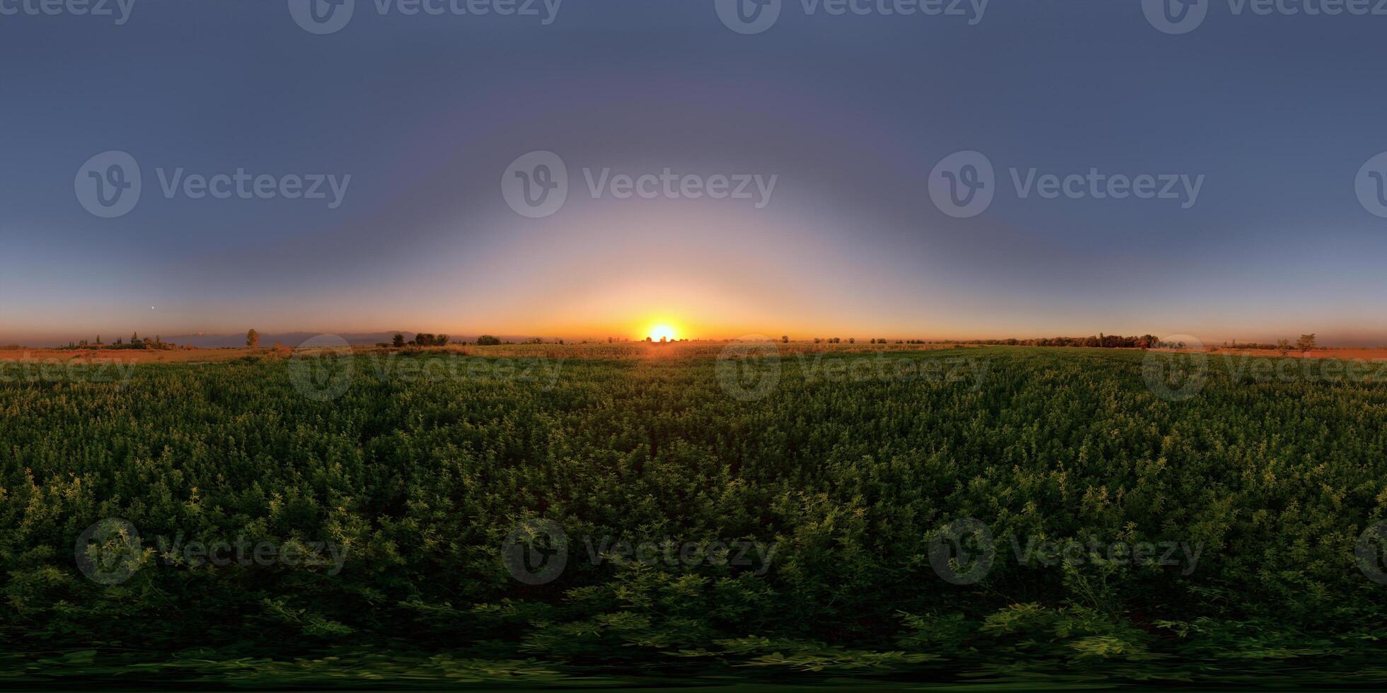 Spherical HDRi panorama of sunset at green agricultural field photo