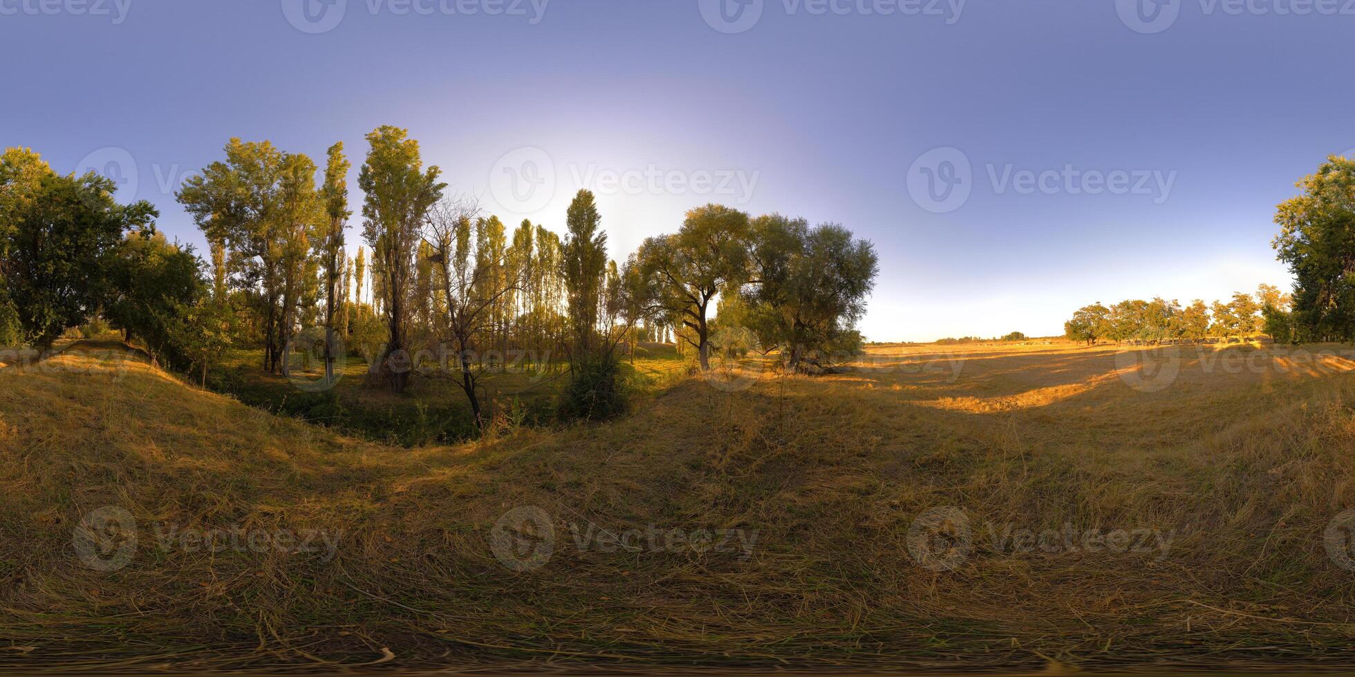 Spherical panorama of autumnal evening in straw moved field near tree grove photo