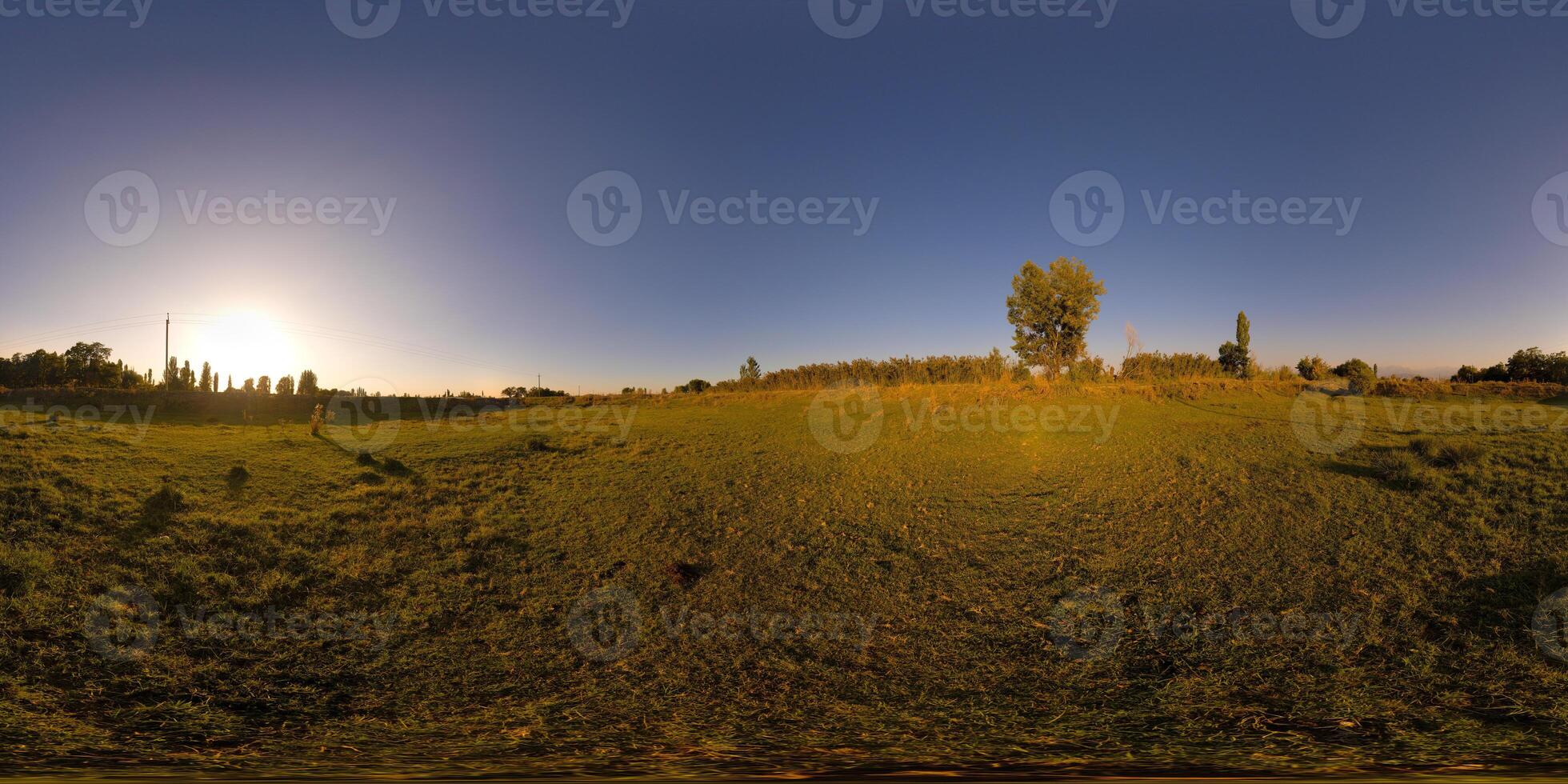 Spherical HDRi panorama of green meadow with short grazed sward grass at summer dusk photo