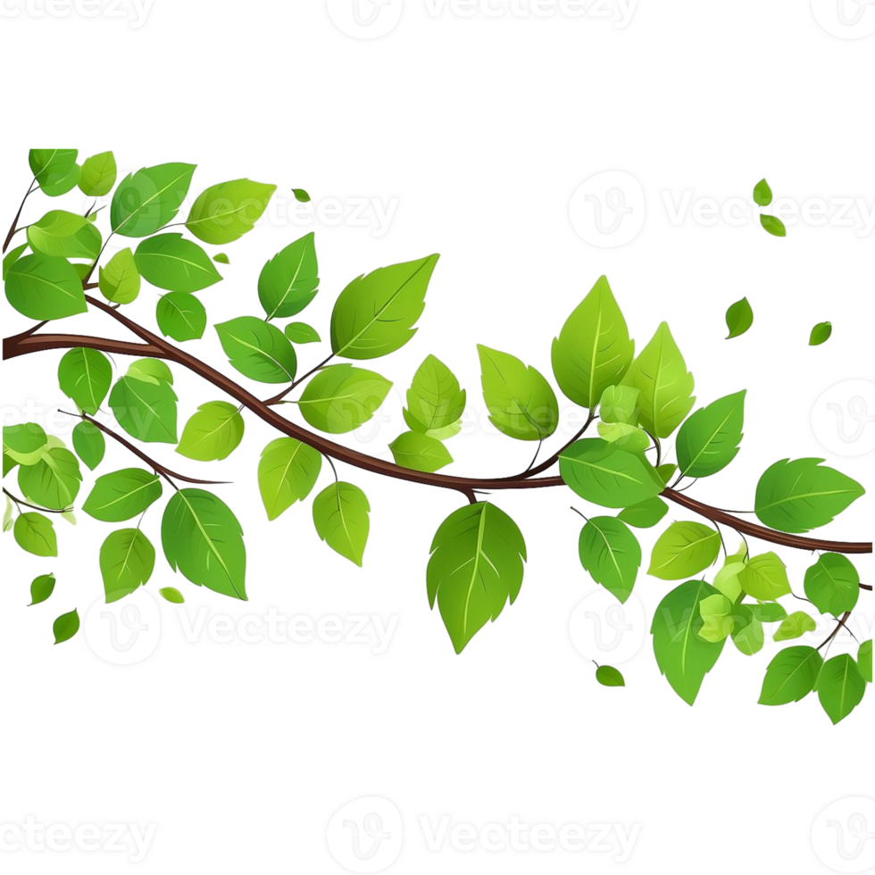 Green leaves on a branch png