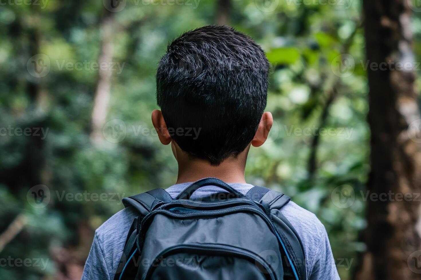 Young boy exploring a forest trail with backpack, back view. photo