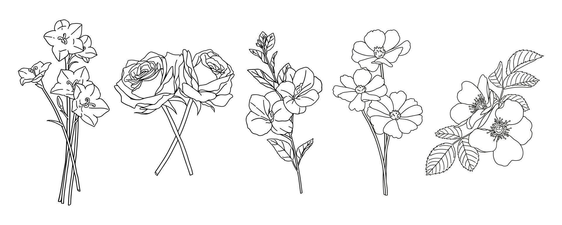 Line art flowers twenty-two vector