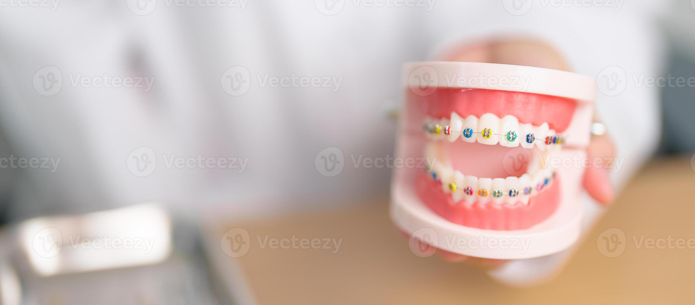 Dentist with Orthodontic tooth model and bracket or brace. Clean and Scrape off tartar. May Orthodontic Health Day, March Oral health, Dentist Day, False Teeth. Toothache and Children Dental Health photo