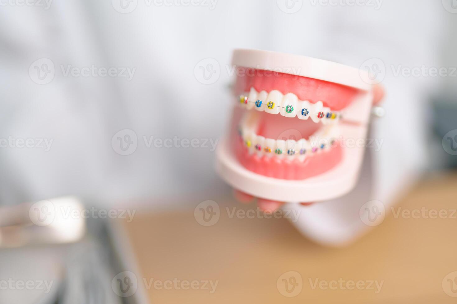 Dentist with Orthodontic tooth model and bracket or brace. Clean and Scrape off tartar. May Orthodontic Health Day, March Oral health, Dentist Day, False Teeth. Toothache and Children Dental Health photo