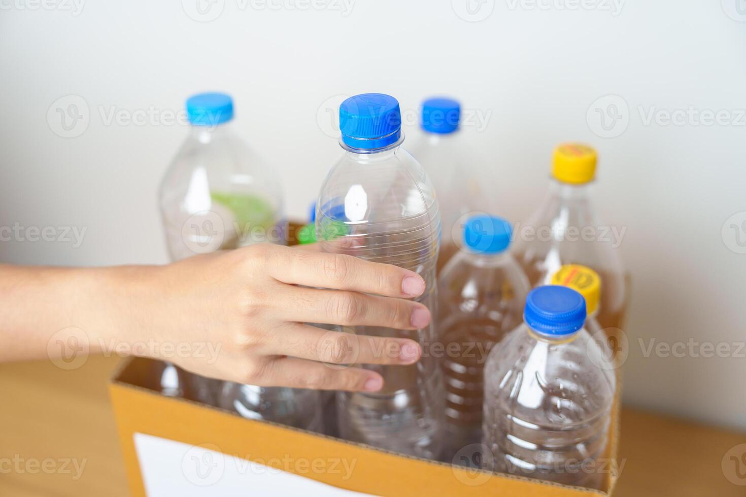 Volunteer keep plastic bottle into paper box at home or office. Hand Sorting Recycle garbage. Ecology, Environmental, pollution, Dispose recycling, waste management and trash Separation concept photo