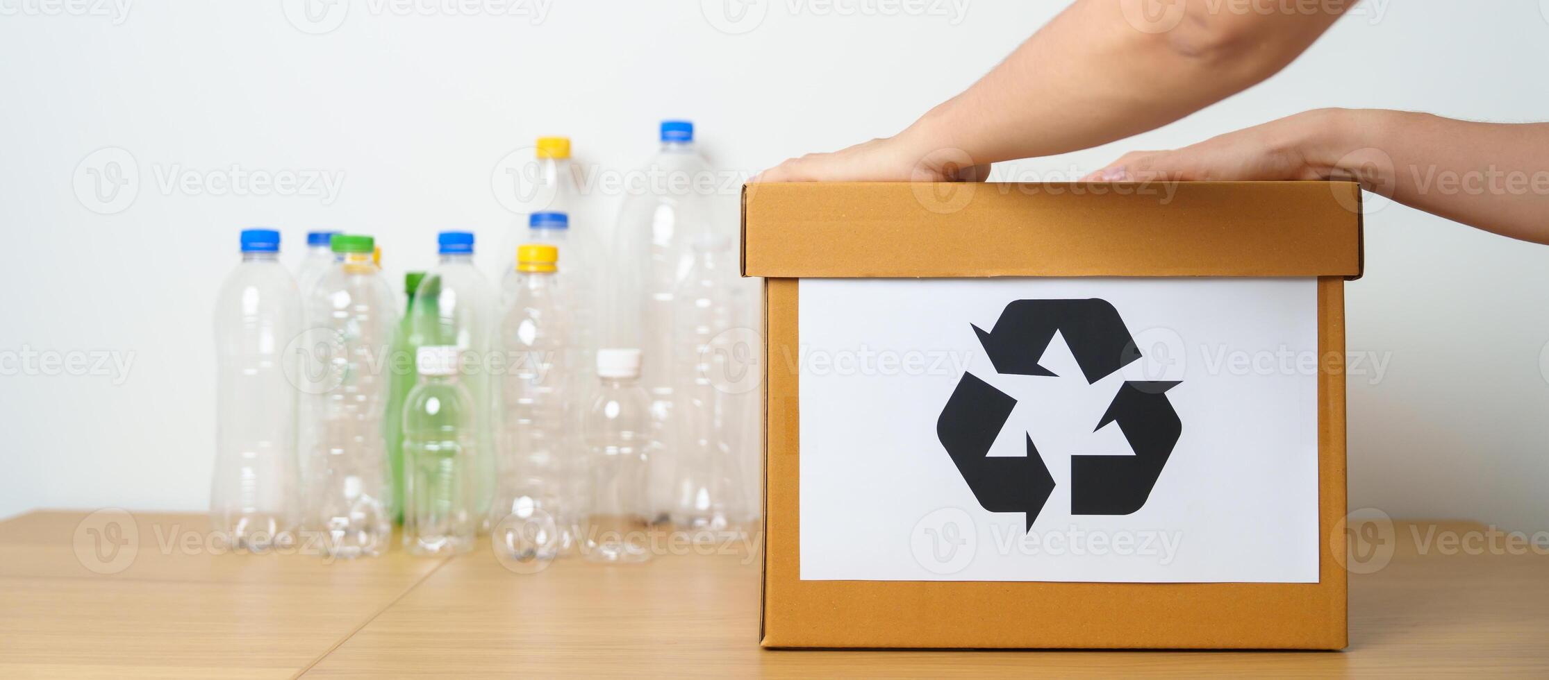 Volunteer keep plastic bottle into paper box at home or office. Hand Sorting Recycle garbage. Ecology, Environmental, pollution, Dispose recycling, waste management and trash Separation concept photo