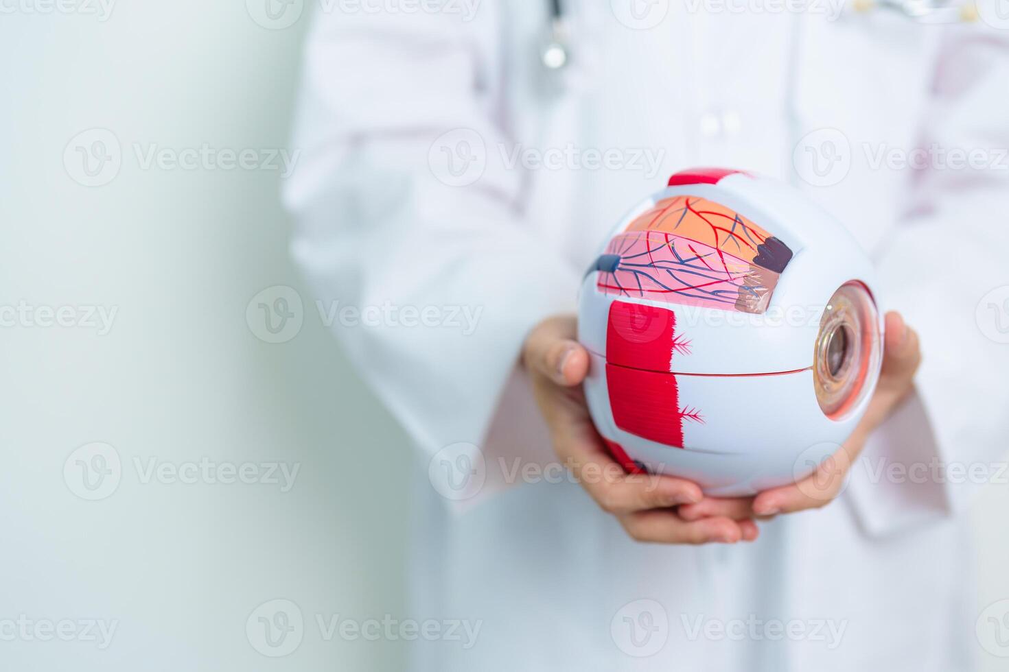 Doctor with human Eye anatomy model with magnifying glass. Eye disease, Refractive Errors, Age Related Macular Degeneration, Cataract, Diabetic Retinopathy, Glaucoma, Amblyopia, Strabismus and Health photo