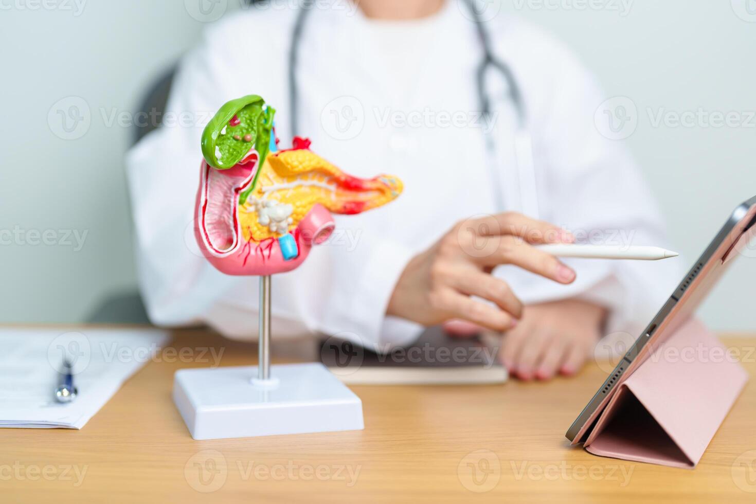 Doctor with human Pancreatitis anatomy model with Pancreas, Gallbladder, Bile Duct, Duodenum, Small intestine and tablet. Pancreatic cancer, acute pancreatitis and Digestive system photo