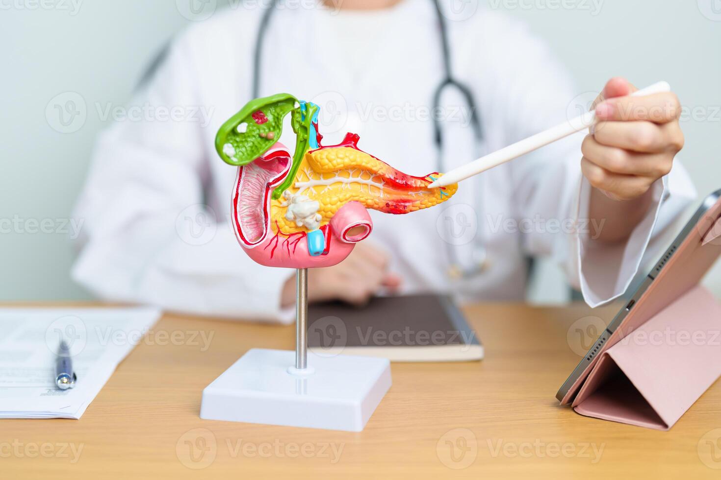 Doctor with human Pancreatitis anatomy model with Pancreas, Gallbladder, Bile Duct, Duodenum, Small intestine and tablet. Pancreatic cancer, acute pancreatitis and Digestive system photo