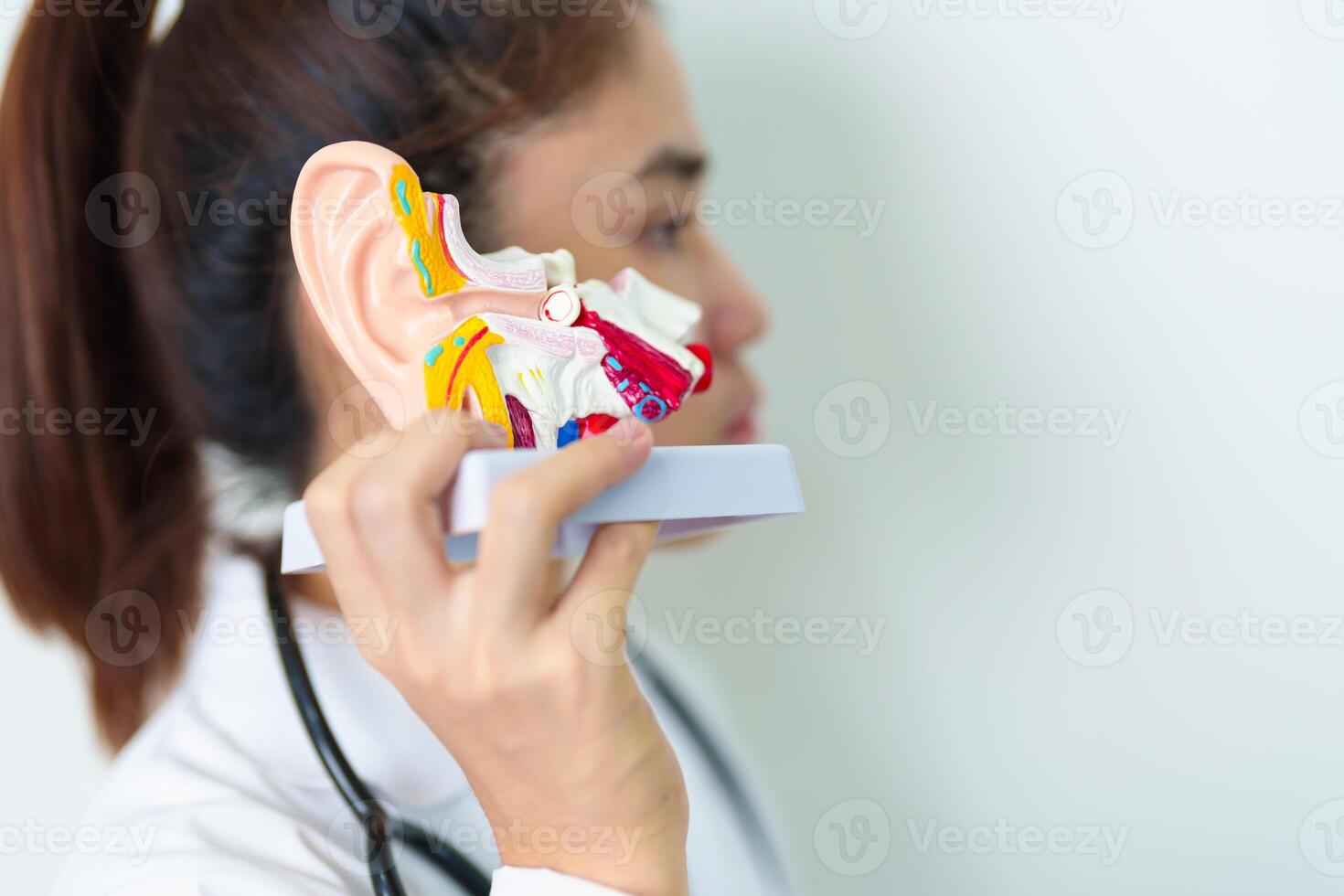 Doctor holding human Ear anatomy model. Ear disease, Atresia, Otitis Media, Pertorated Eardrum, Meniere syndrome, otolaryngologist, Ageing Hearing Loss, Schwannoma and Health photo