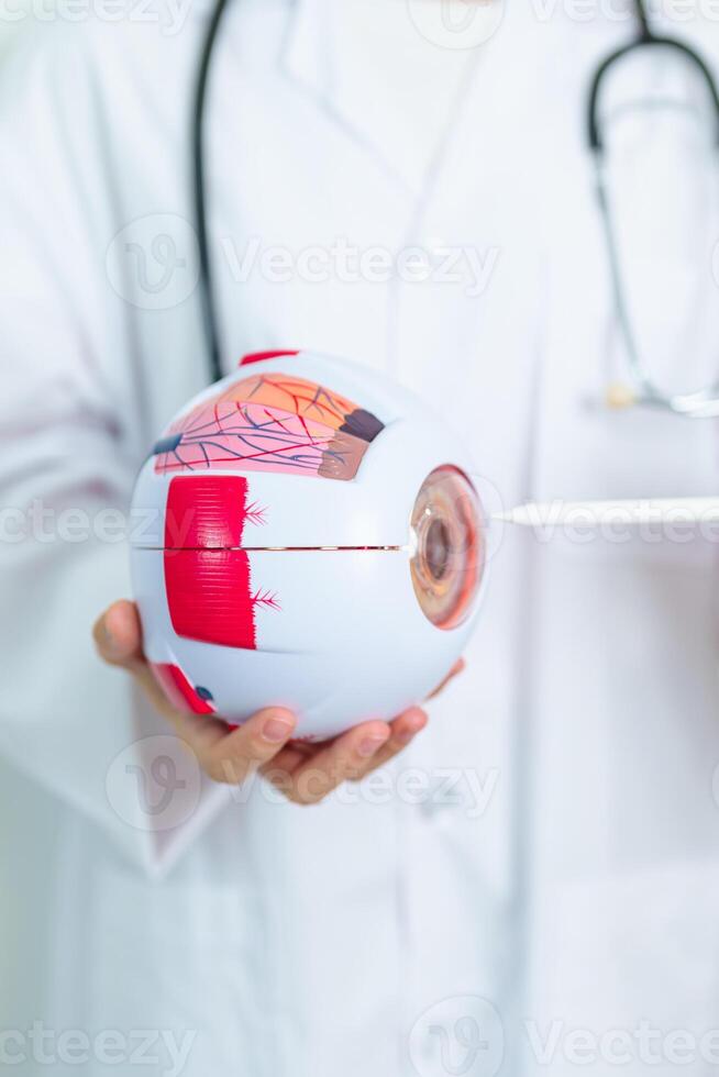 Doctor with human Eye anatomy model with magnifying glass. Eye disease, Refractive Errors, Age Related Macular Degeneration, Cataract, Diabetic Retinopathy, Glaucoma, Amblyopia, Strabismus and Health photo