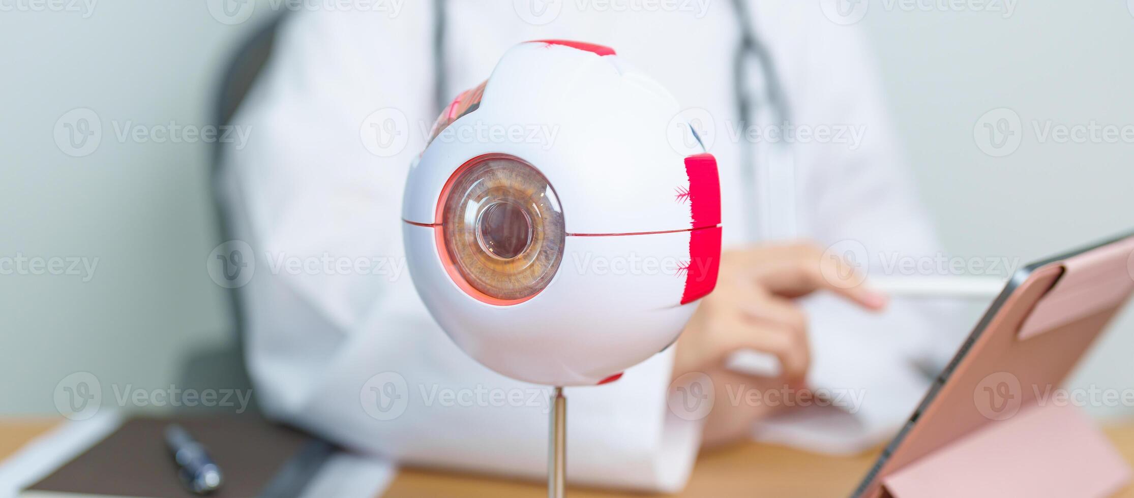 Doctor with human Eye anatomy model with magnifying glass. Eye disease, Refractive Errors, Age Related Macular Degeneration, Cataract, Diabetic Retinopathy, Glaucoma, Amblyopia, Strabismus and Health photo