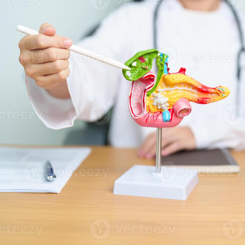 Doctor with human Pancreatitis anatomy model with Pancreas, Gallbladder, Bile Duct, Duodenum, Small intestine and tablet. Pancreatic cancer, acute pancreatitis and Digestive system photo