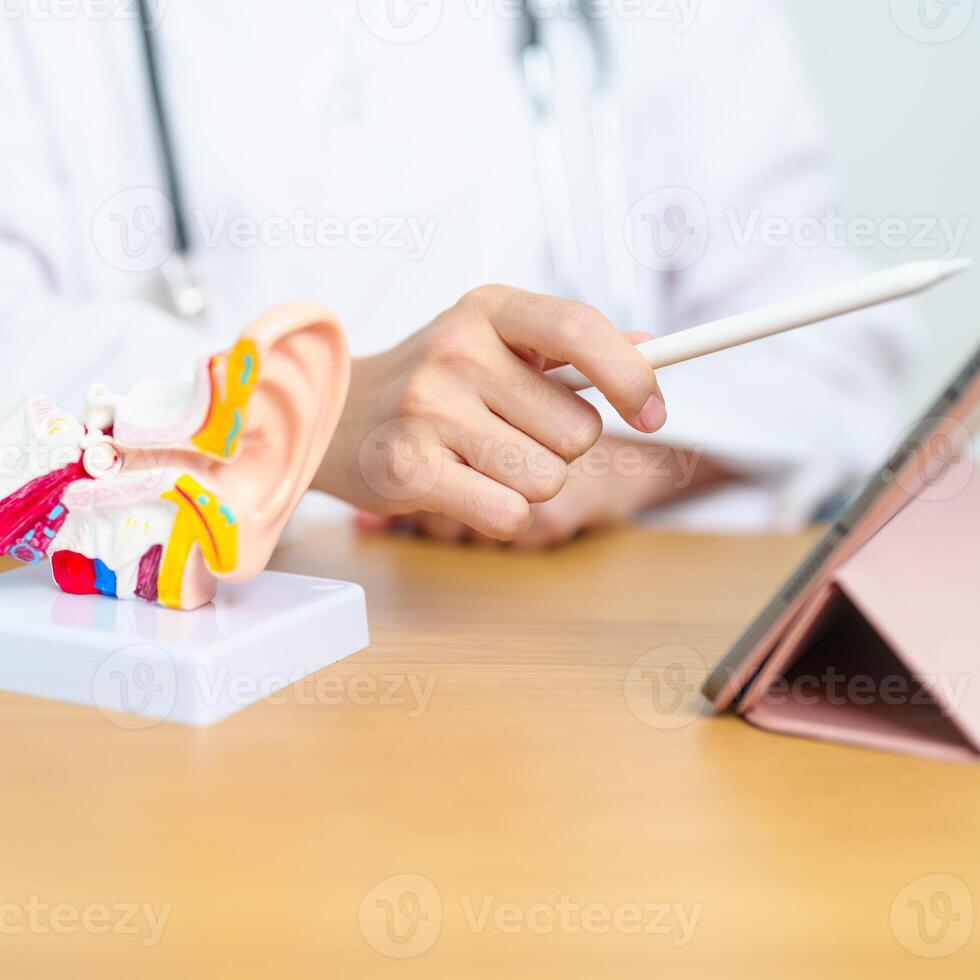 Doctor with human Ear anatomy model with tablet. Ear disease, Atresia, Otitis Media, Pertorated Eardrum, Meniere syndrome, otolaryngologist, Ageing Hearing Loss, Schwannoma and Health photo
