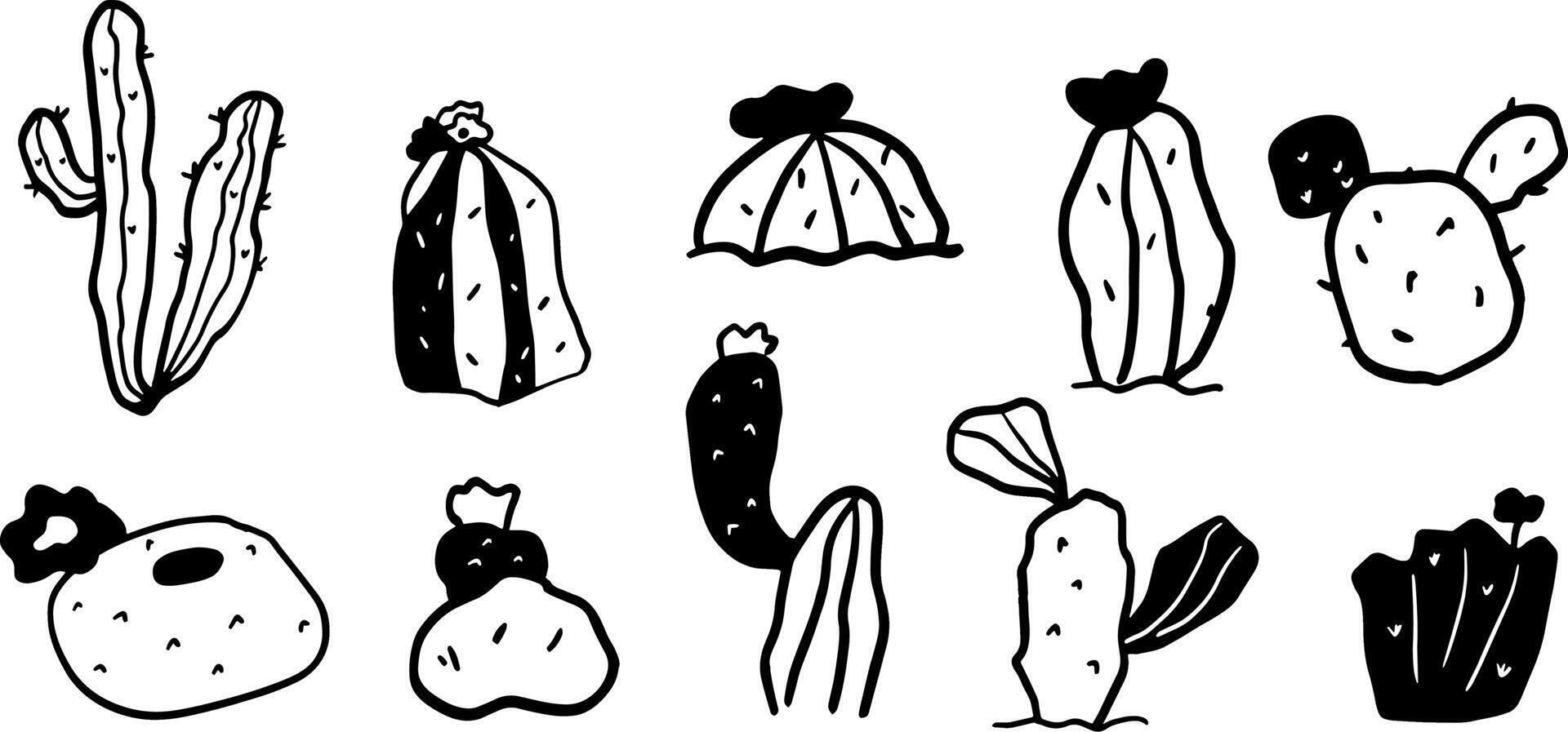 Hand-Drawn Cactus Illustrations for Botanical Themes vector