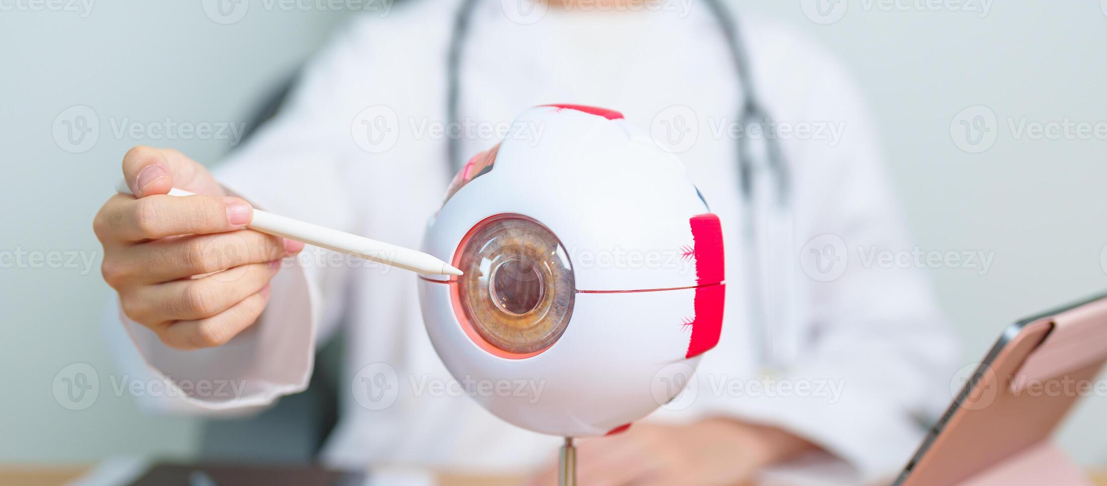 Doctor with human Eye anatomy model with magnifying glass. Eye disease, Refractive Errors, Age Related Macular Degeneration, Cataract, Diabetic Retinopathy, Glaucoma, Amblyopia, Strabismus and Health photo