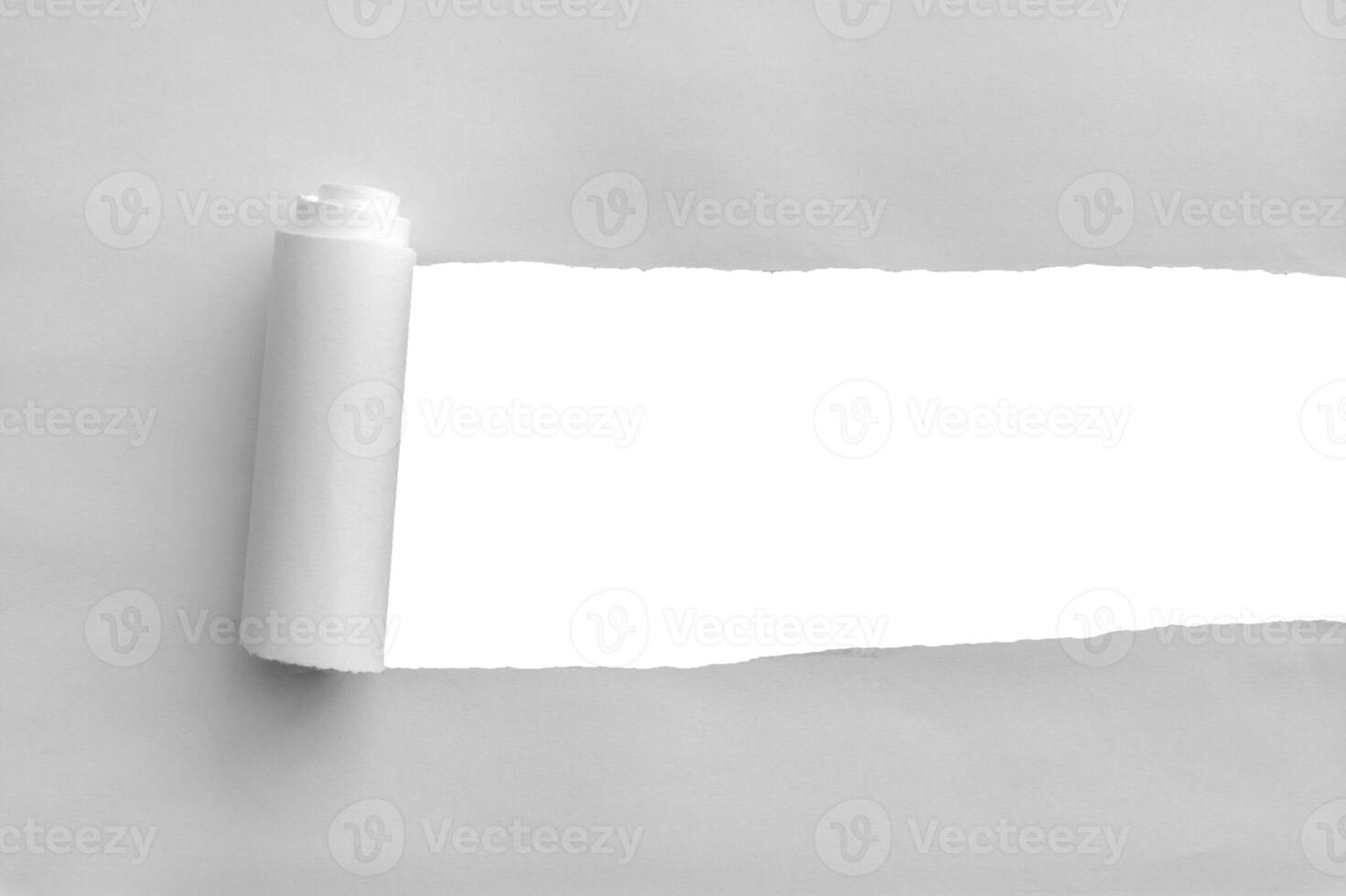 White torn paper rolled edge with space isolated on white background photo