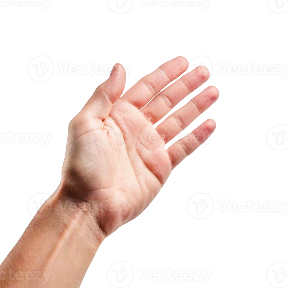 a hand is raised up to the sky png