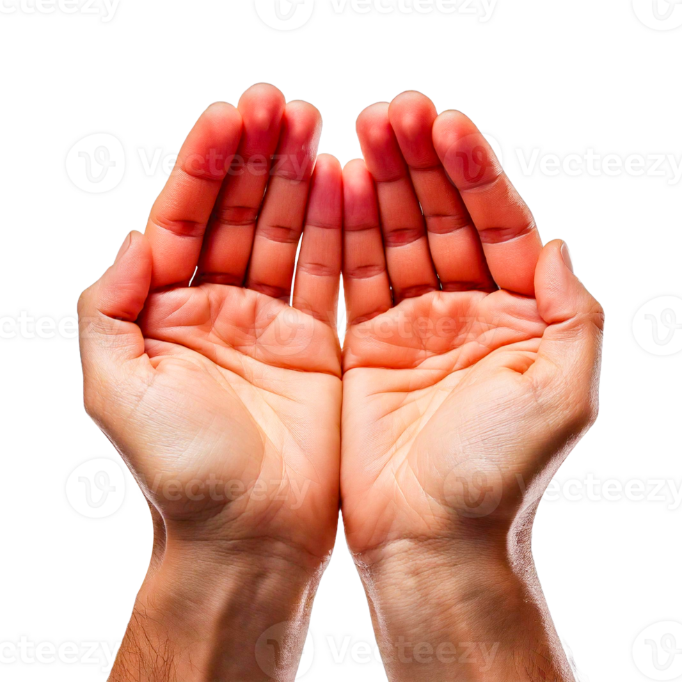 hands in the form of a heart png