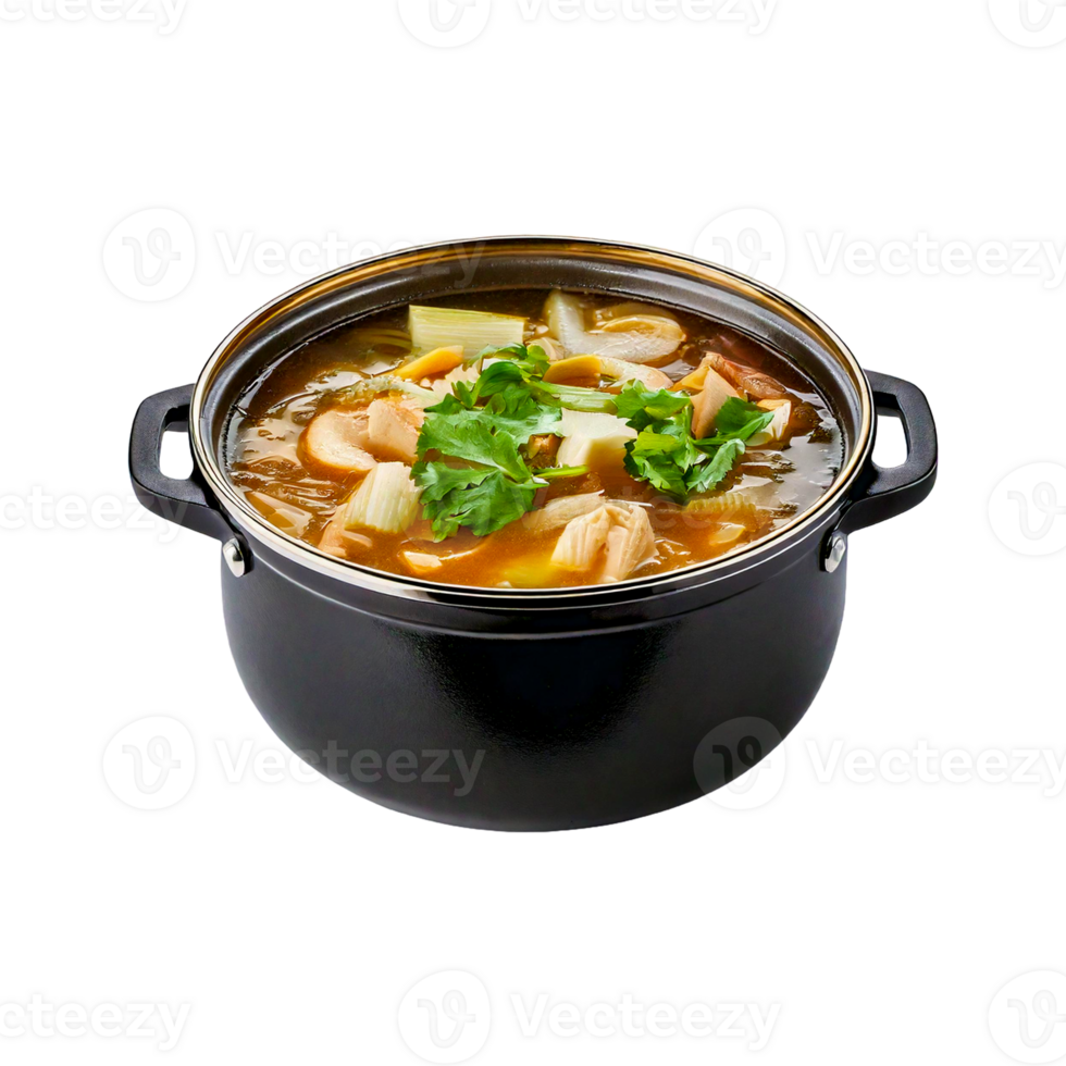 tomato soup with vegetables png