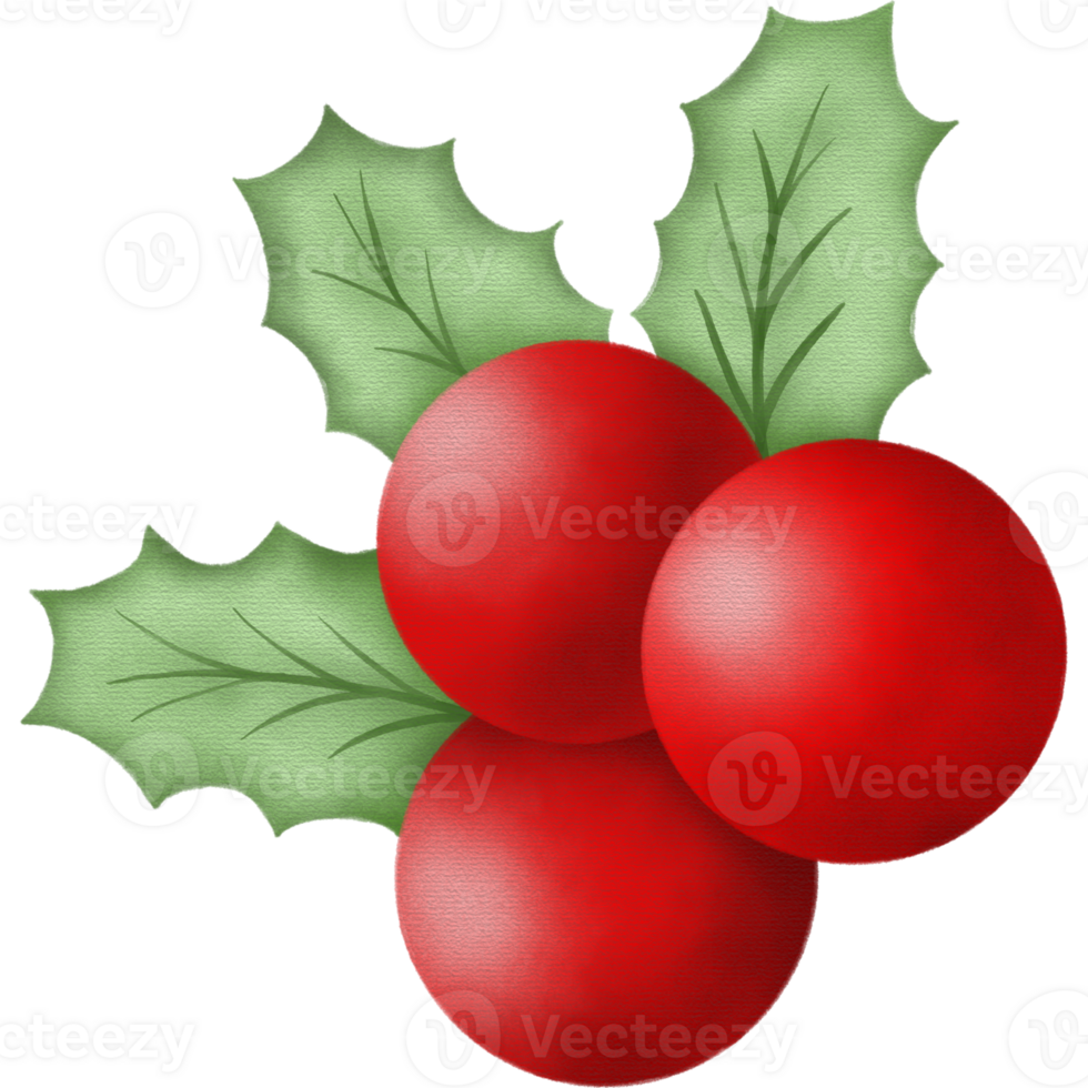 red currant isolated png
