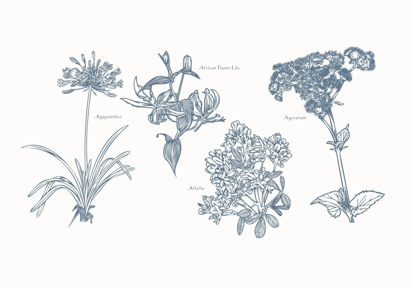 Hand-Drawn Botanical Frame Featuring Agapanthus, African Lily, and Ageratum Flowers vector