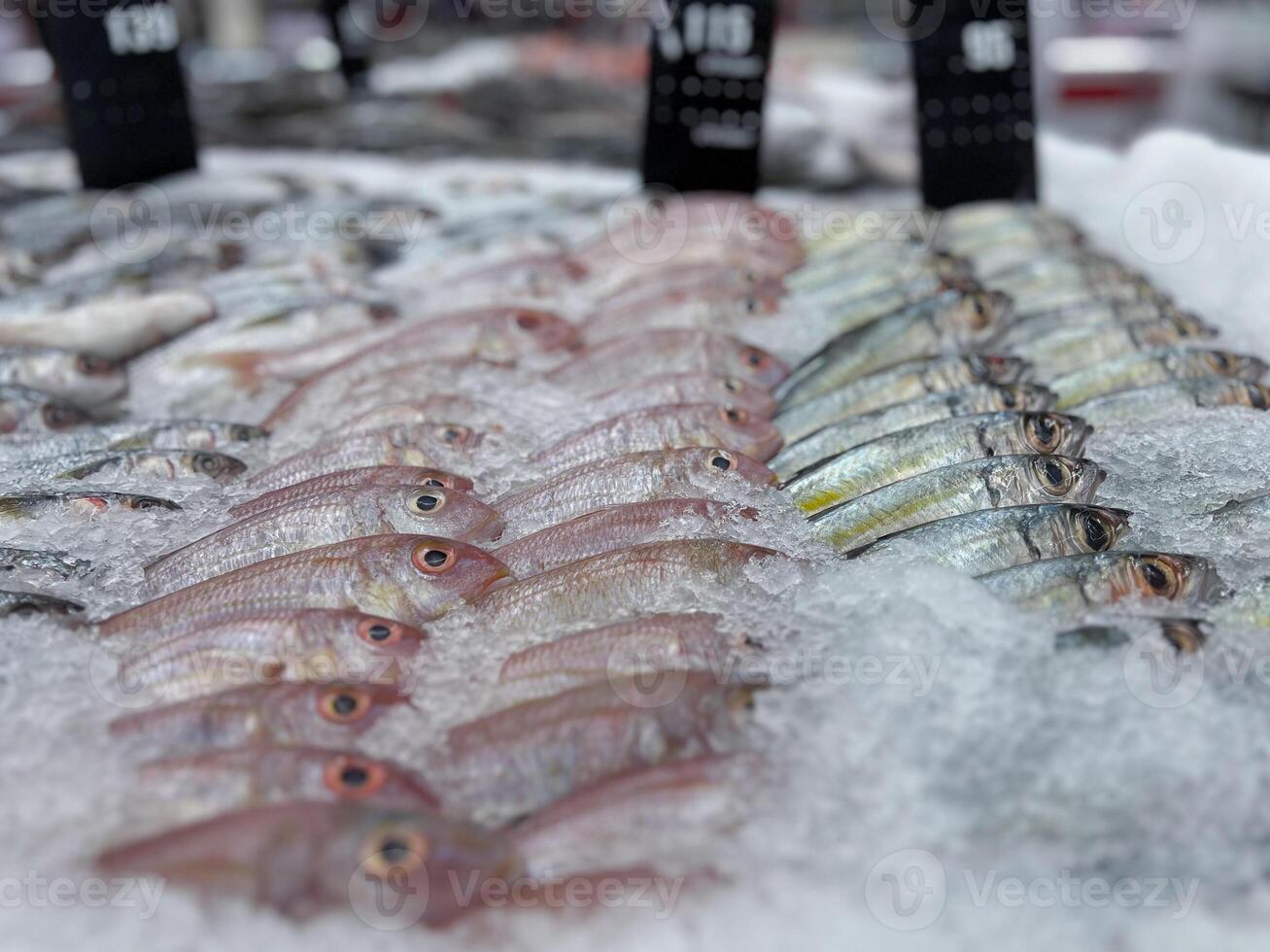 Selective focus on the fresh raw fish on the tray with ice at the food store photo