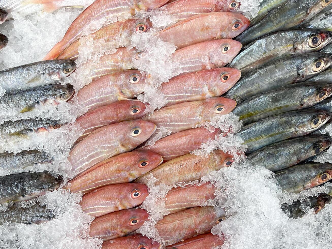 Top view group of raw fresh fish on the tray with ice at the food store photo