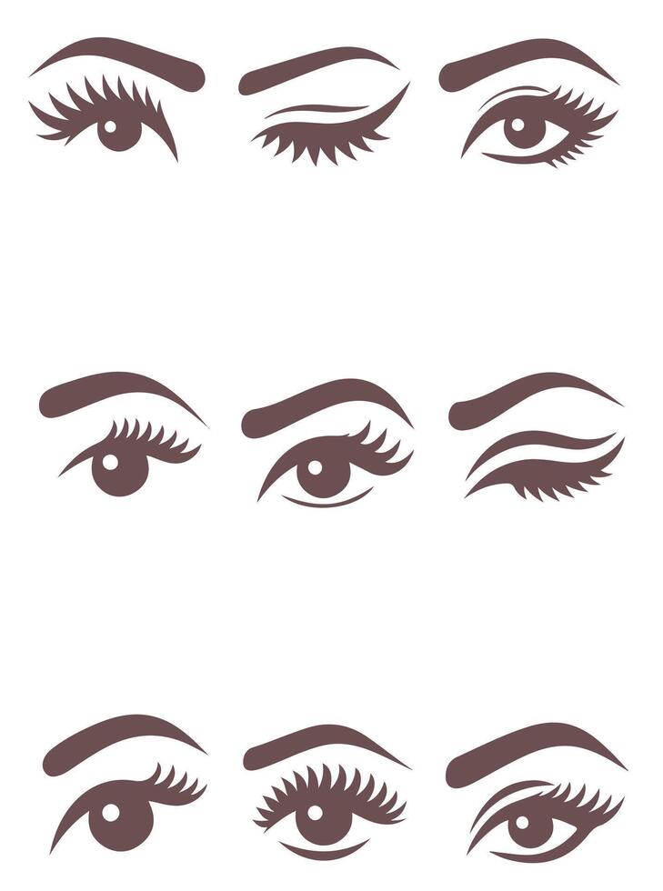 The Brow Bar collection logo vector