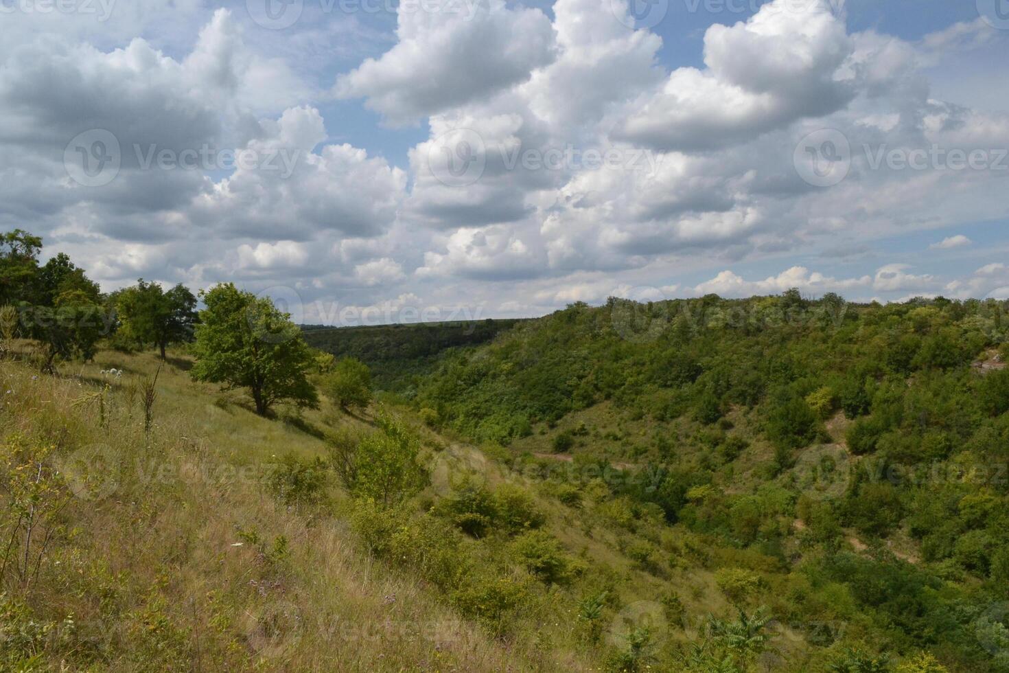 A panoramic view of a lush, green valley with rolling hills under a partly cloudy sky. The natural landscape is dotted with various trees and grass. photo