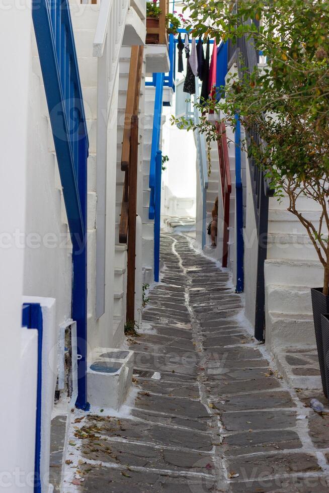 Whitewashed alley with stairs and colorful doors and windows in Mykonos, Greece. Traditional Cycladic architecture. photo