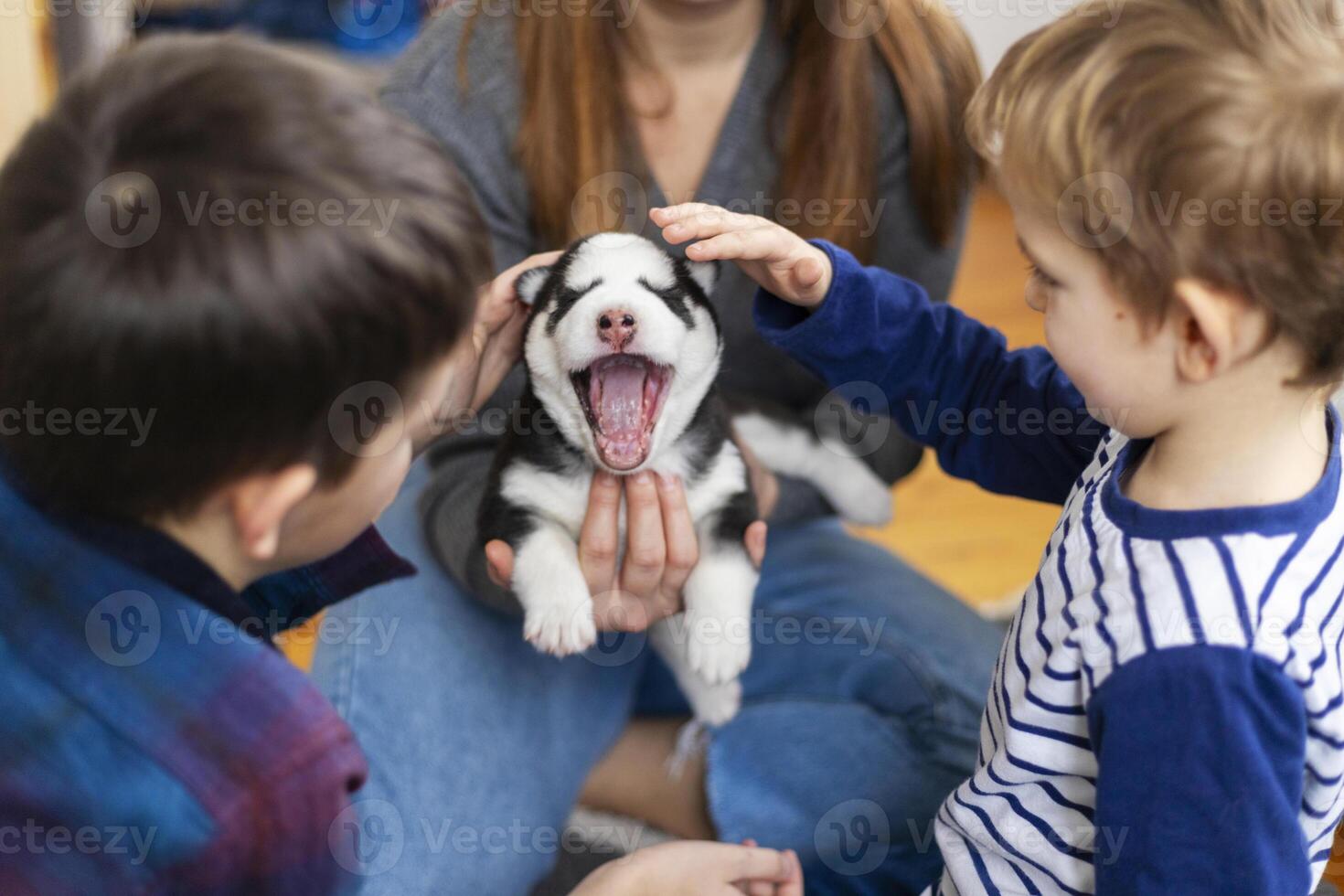 Children petting yawning husky puppy indoors photo