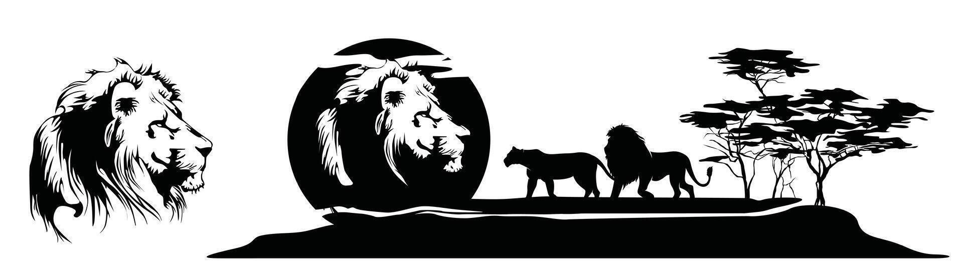 Lion in African Savannah vector