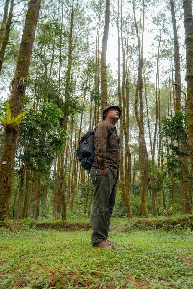Asian man in adventure outfit in dense and green pine forest area. An adventurer in a flannel shirt, bucket hat, and backpack poses against a backdrop of dense pine trees. photo