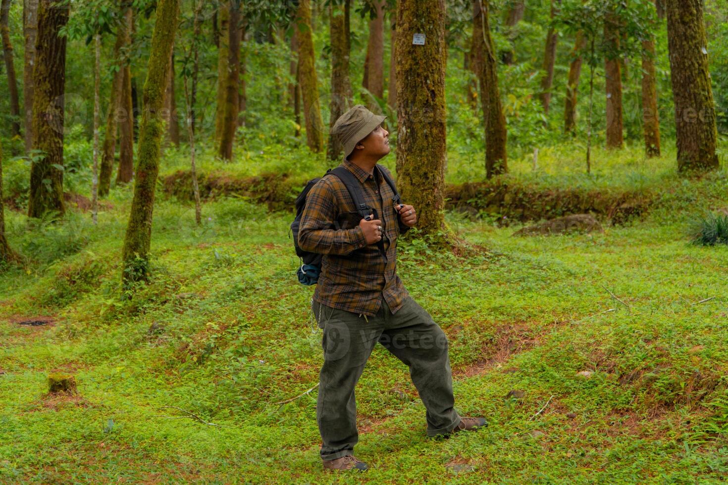 Asian man in adventure outfit in dense and green pine forest area. An adventurer in a flannel shirt, bucket hat, and backpack poses against a backdrop of dense pine trees. photo
