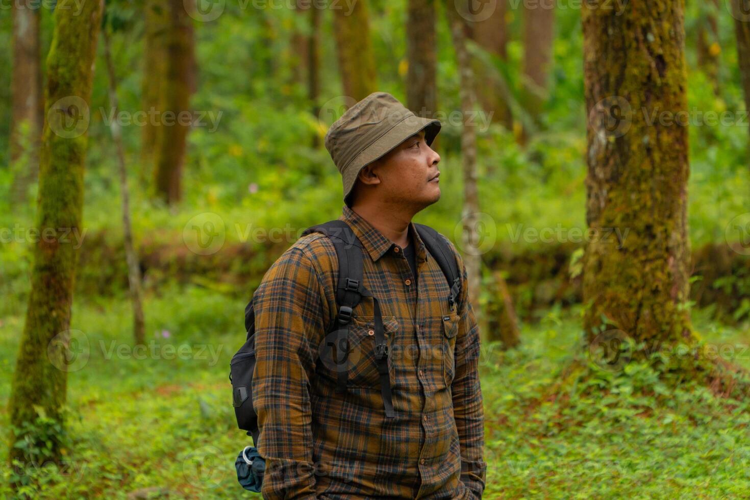 Half-body close-up of an adventurer in a dense and green pine forest. An Asian male traveler in a flannel shirt, bucket hat and backpack poses against a backdrop of dense pine trees. photo
