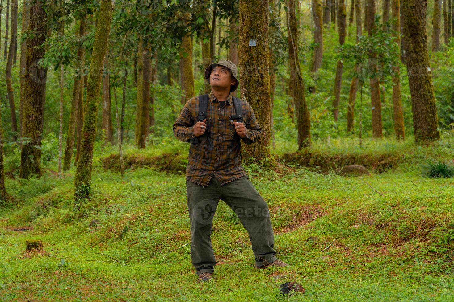 Asian man in adventure outfit in dense and green pine forest area. An adventurer in a flannel shirt, bucket hat, and backpack poses against a backdrop of dense pine trees. photo